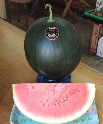 尾花沢黒すいか（ブラックジャック）🍉 | 有限会社あべ農園